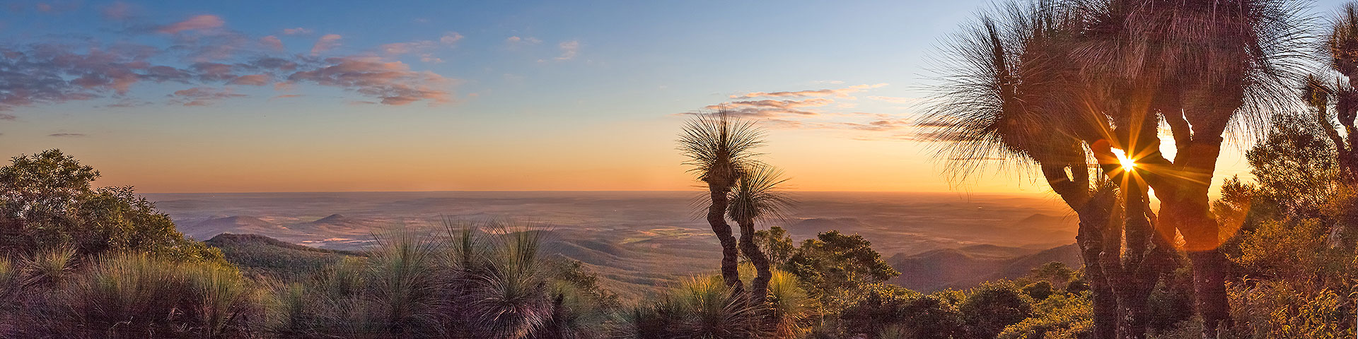 Bunya Mountains